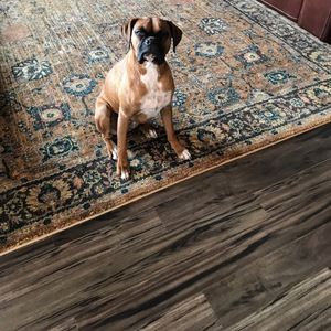 Meet your Posher, Cecilia